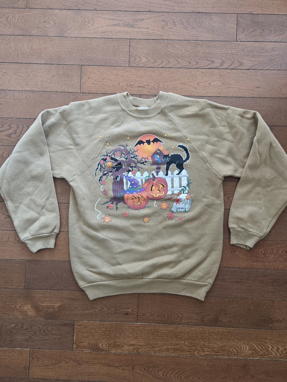 Vintage Crewneck Sweatshirt with Halloween Pumpkin & Black Cat Graphic